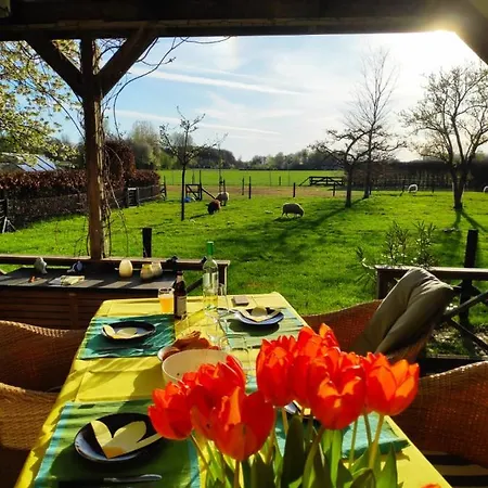 Het Buitengebied Holiday home