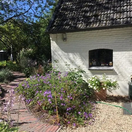 Semesterbostad Het Buitengebied Empe