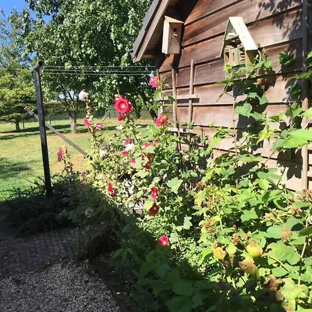 Het Buitengebied Holiday home *