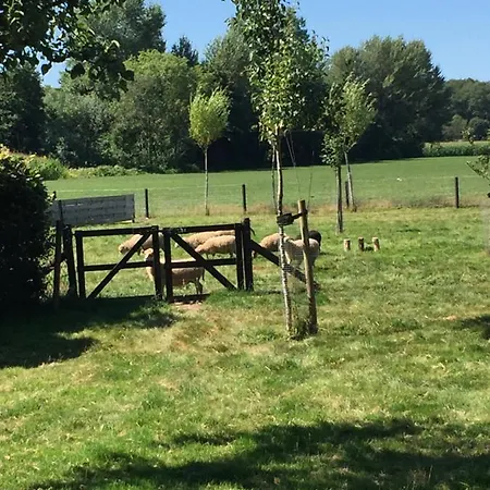 Het Buitengebied Semesterbostad