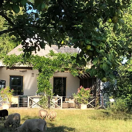 Het Buitengebied * Empe