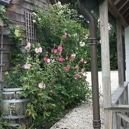 Het Buitengebied Semesterbostad