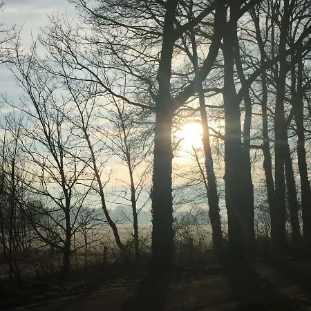 Het Buitengebied Ferienhaus Empe