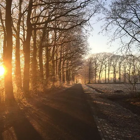 Het Buitengebied Semesterbostad *