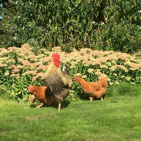 Het Buitengebied Semesterbostad Empe