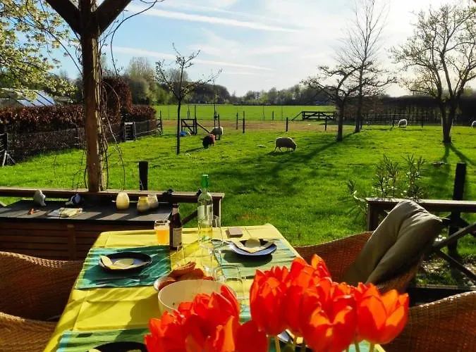 Het Buitengebied Holiday home