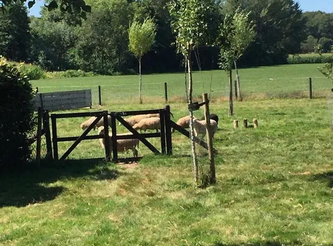 Het Buitengebied Holiday home