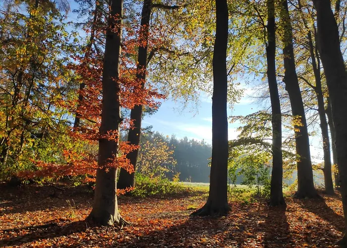 Het Buitengebied Empe