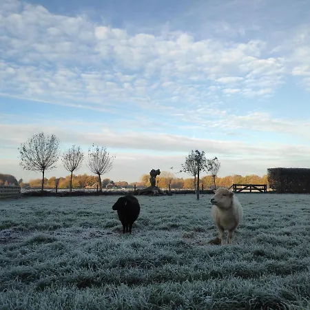 Het Buitengebied Дом отдыха Empe