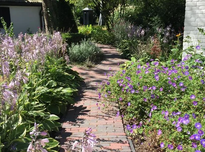 Het Buitengebied Дом отдыха