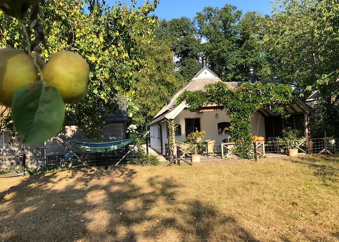 Het Buitengebied * Empe