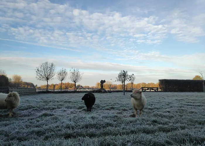 Het Buitengebied Дом отдыха Empe