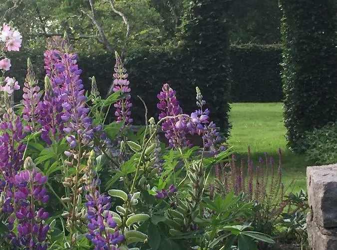 Het Buitengebied Дом отдыха *