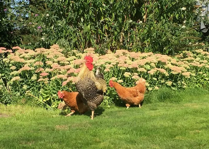 Het Buitengebied Дом отдыха Empe